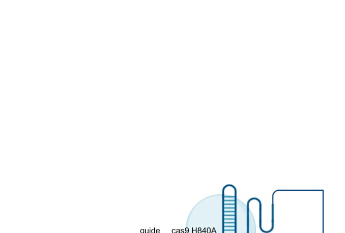 create publication quality biological illustrations